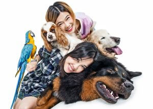 Family with 3 dogs and a parrot