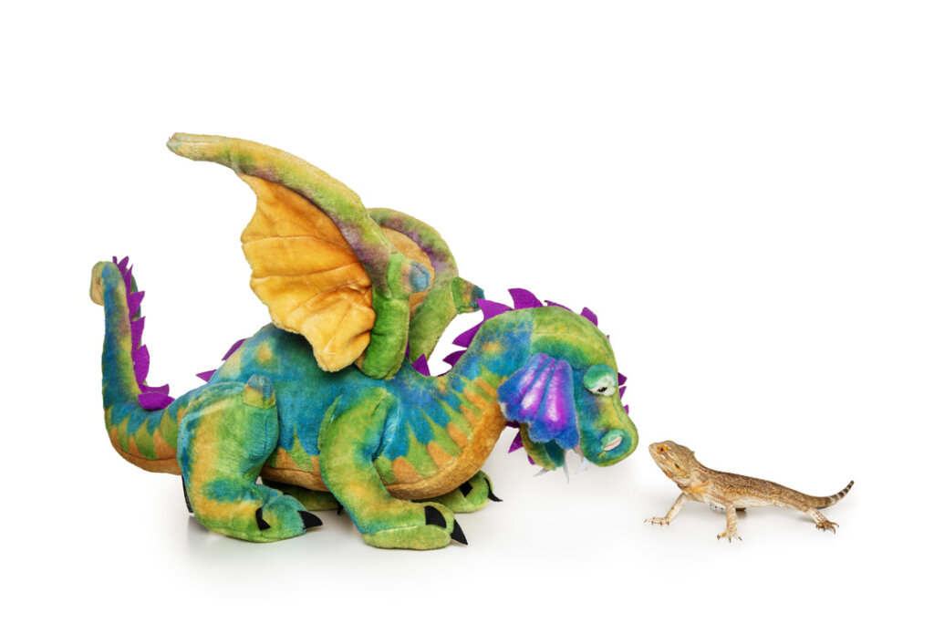 A lizard in size comparison to a dragon toy